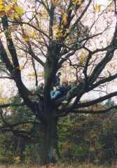 2000_10_dzuskobrani_02