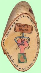 2012_02_03-falesny_lyze_pl2